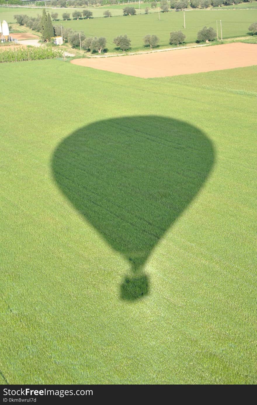 Grassland, Green, Field, Grass