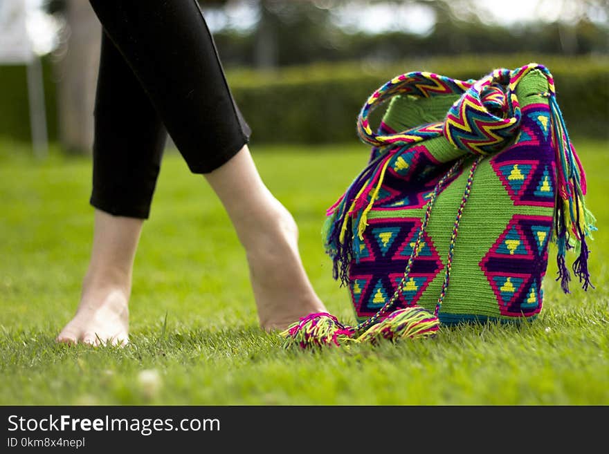 Grass, Plant, Lawn, Shoe