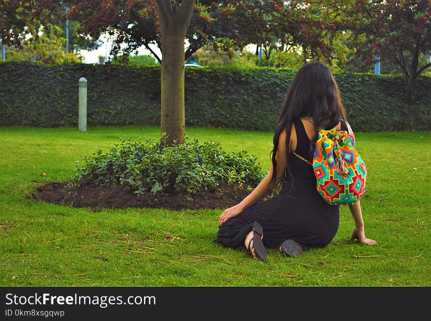 Green, Nature, Grass, Tree