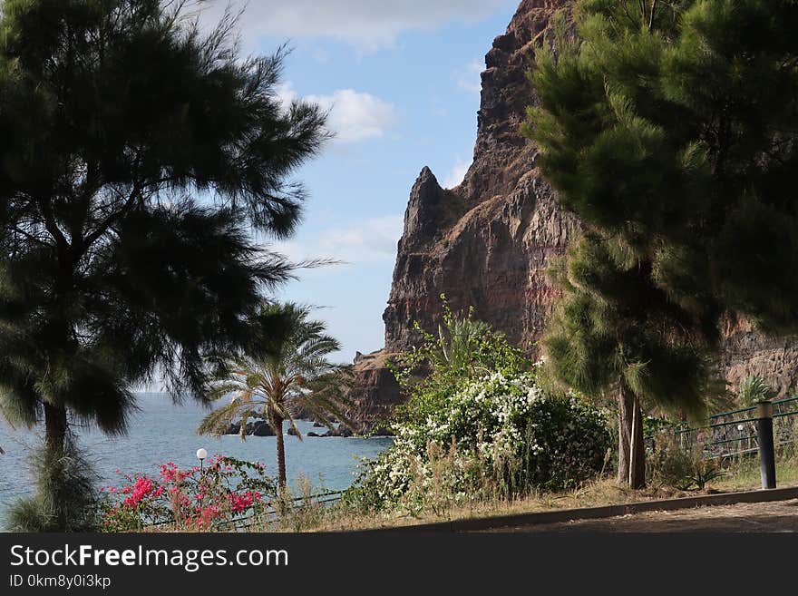 Nature Reserve, Tree, Sky, Tourist Attraction