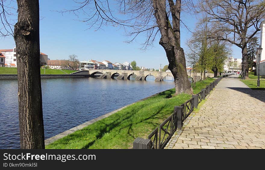 Waterway, Canal, Property, Tree