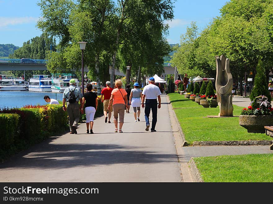 Plant, Public Space, Tree, Waterway