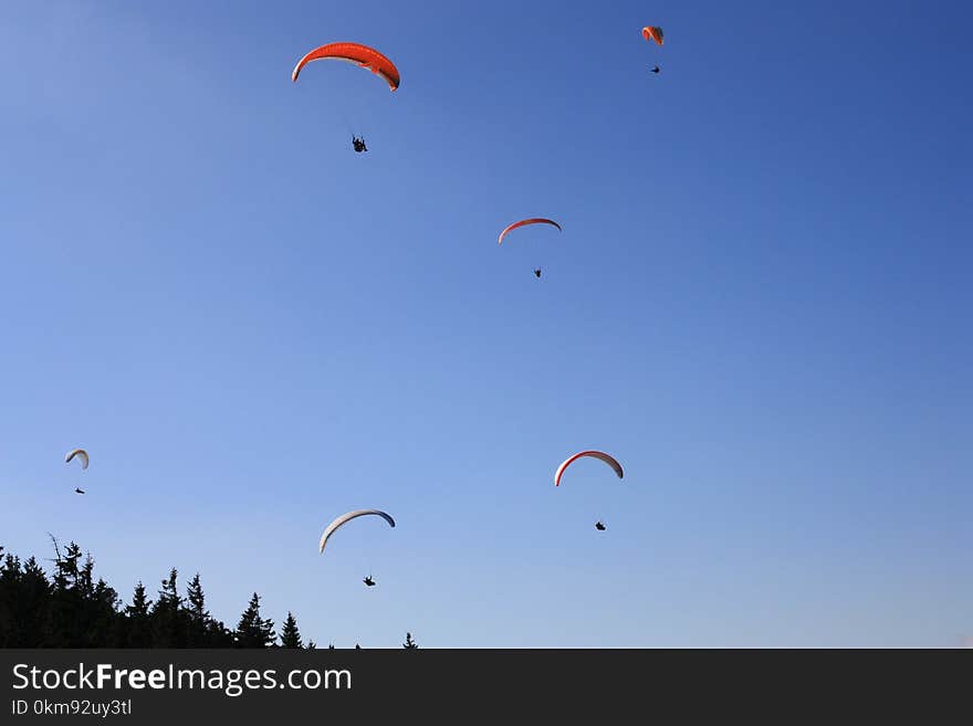 Paragliding, Air Sports, Sky, Parachuting