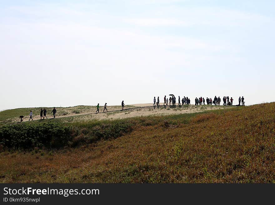 Grassland, Ecosystem, Pasture, Sky