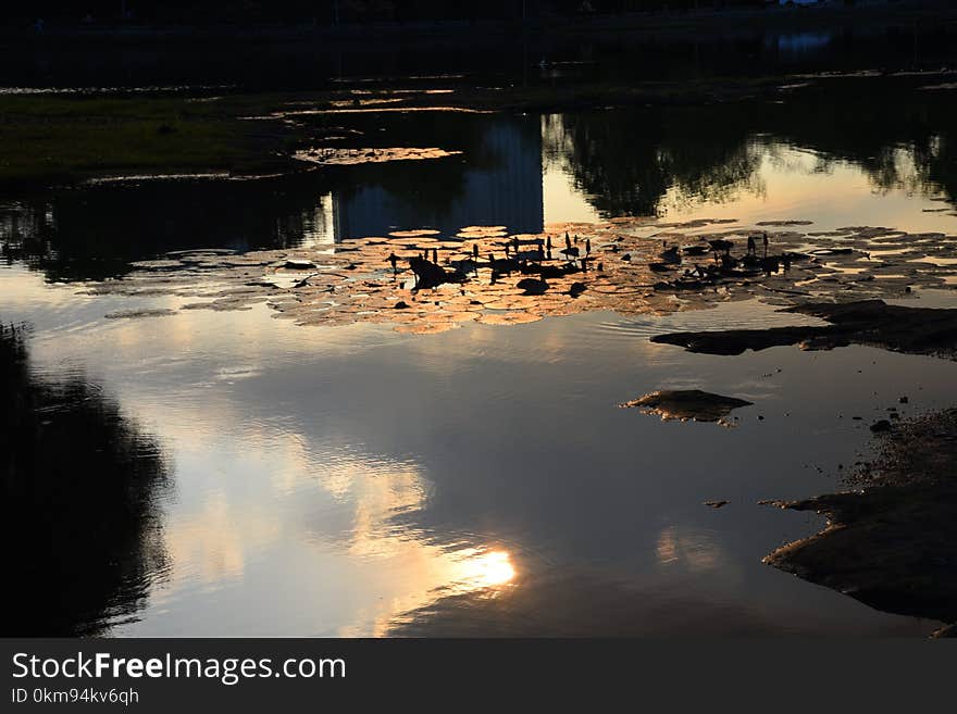 Reflection, Water, Body Of Water, Sky