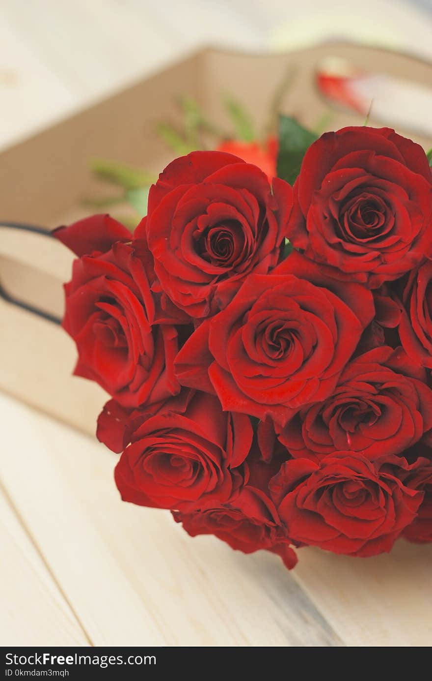 Red Rosess close up Isolated over Wooden Textured Background