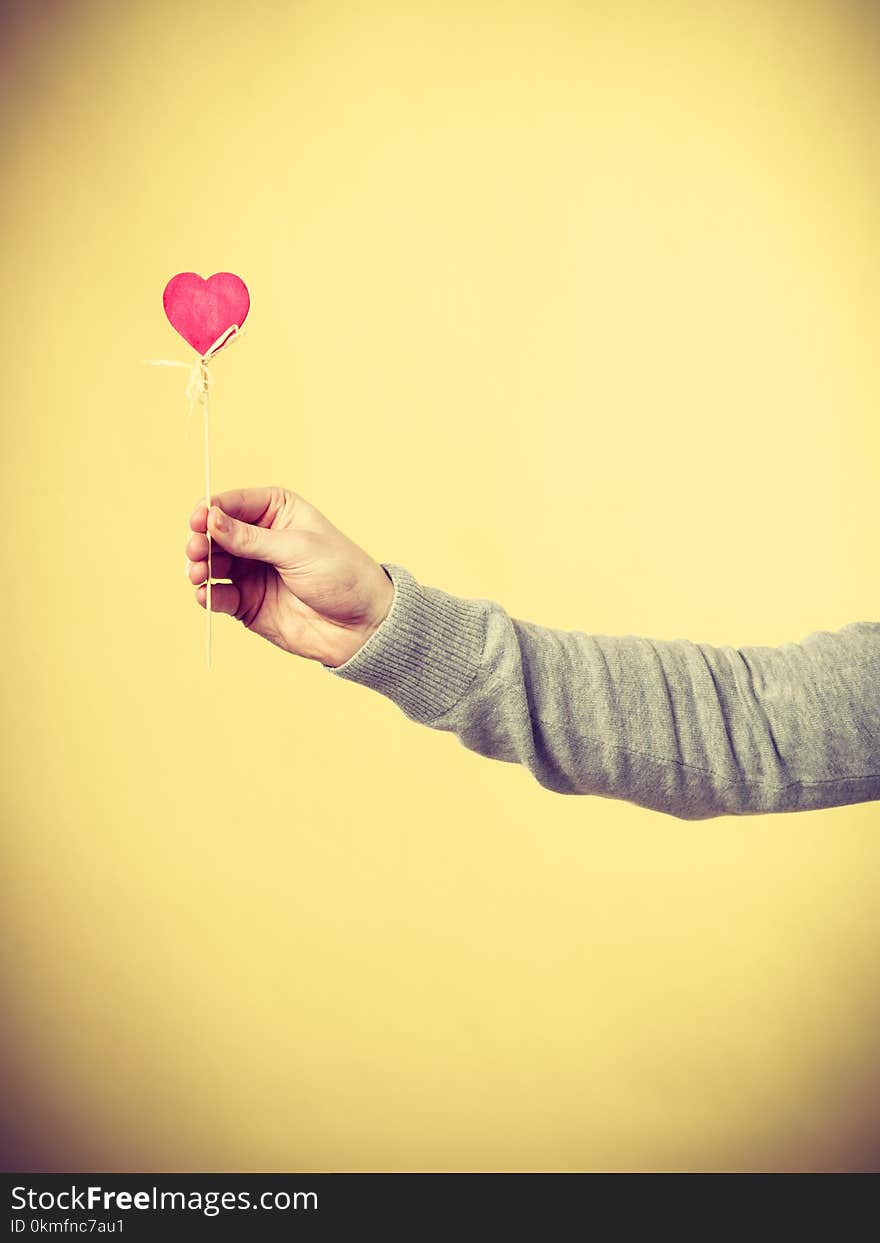 Person holding heart on stick.