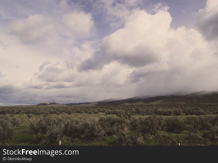 Landscape Photo of Green Leaf Trees Under Nimbus Clouds