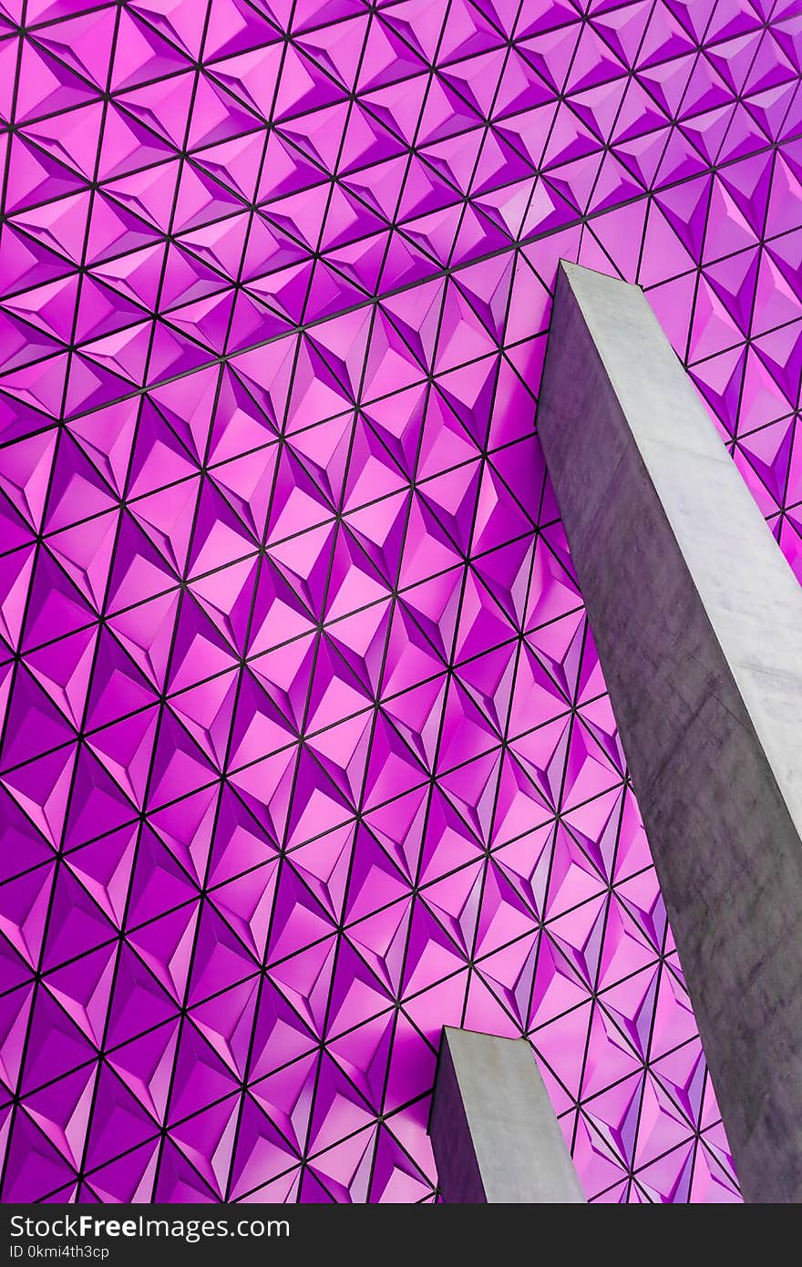 Closeup Photo of Pink Graphic Wallpaper