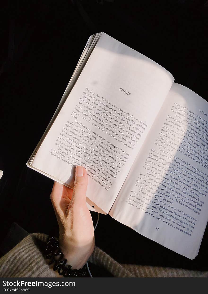 Person Holding Novel Book