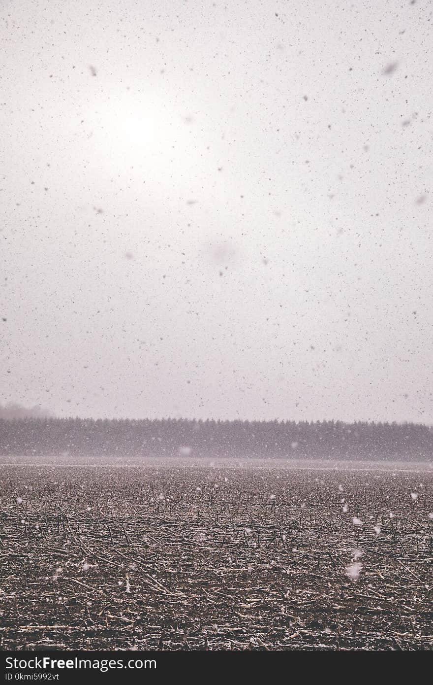 Brown Field Photo