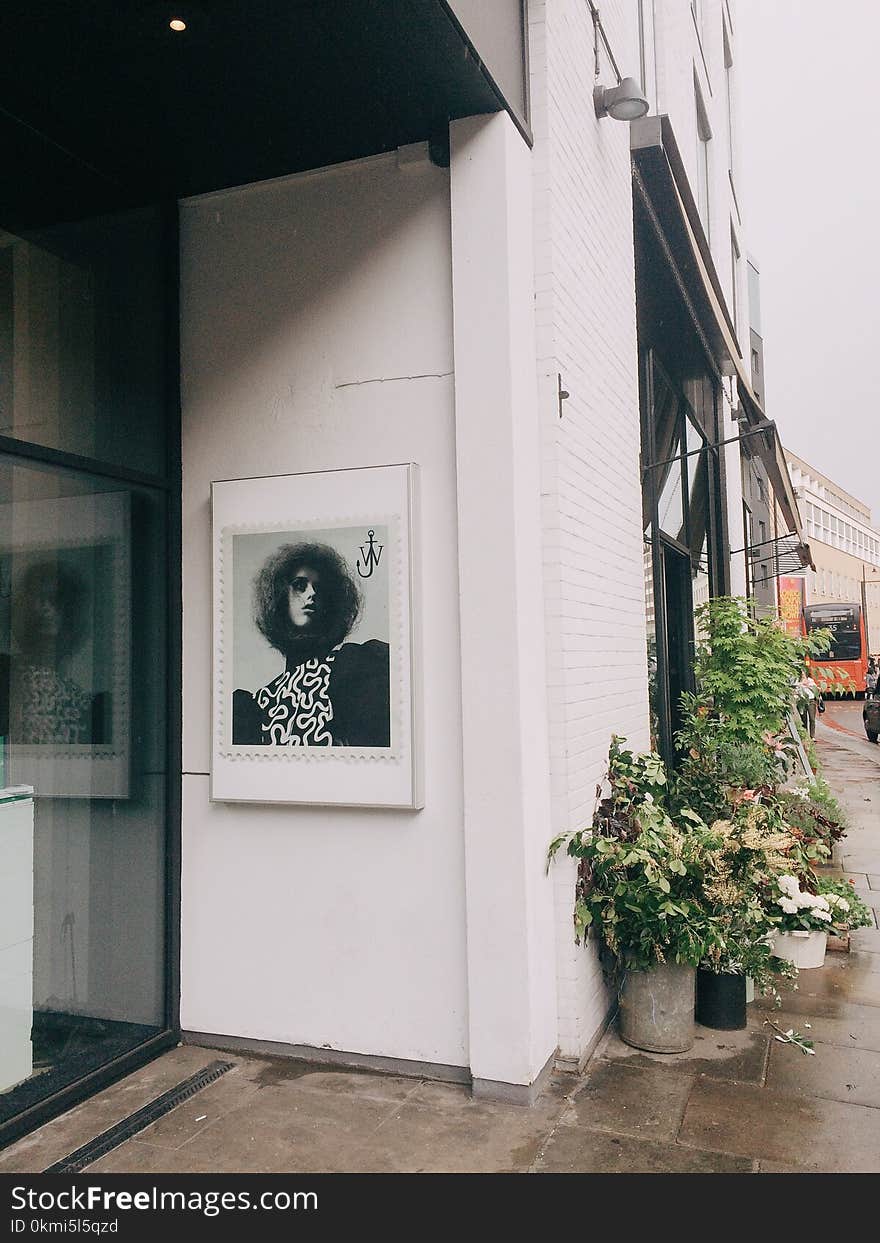 Grayscale Photo of Man Portrait on Wall Near Potted Plants