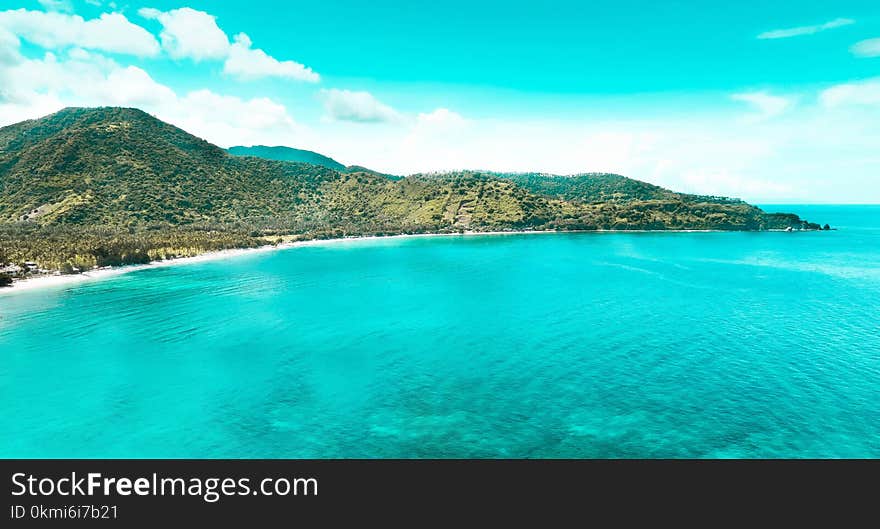 Aerial Photography of Island Surrounded With Green Trees