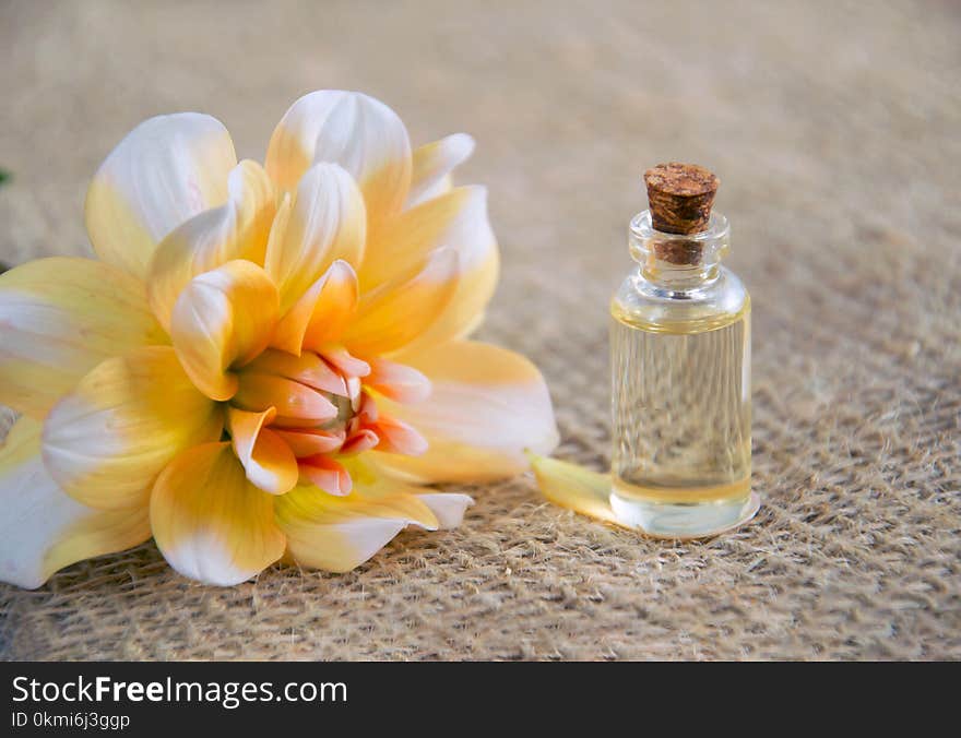 Close-Up Photo of White and Yellow Flower Near Glass Bottle