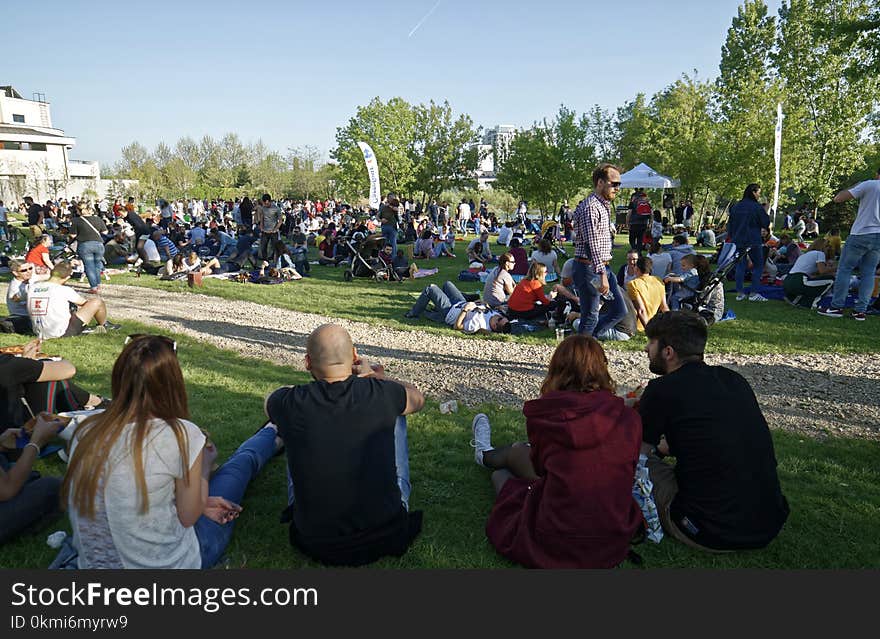 Group of People Sitting on Grass Field Near Green Trees