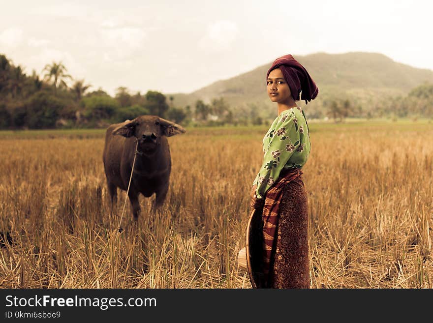 Woman Standing Near Black Water Buffalo at the Field