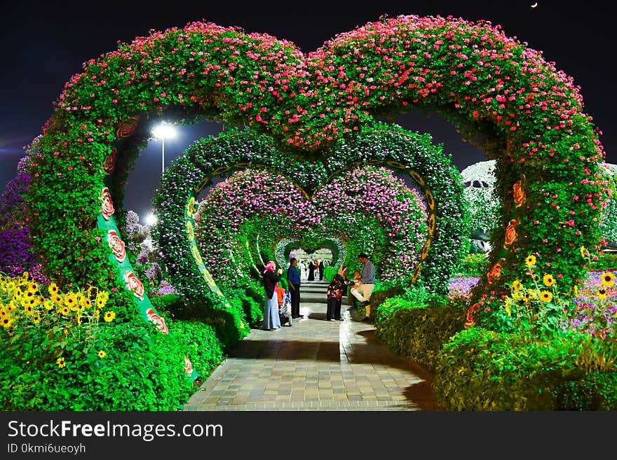 Heart-shaped Pink and Purple Flower Garden