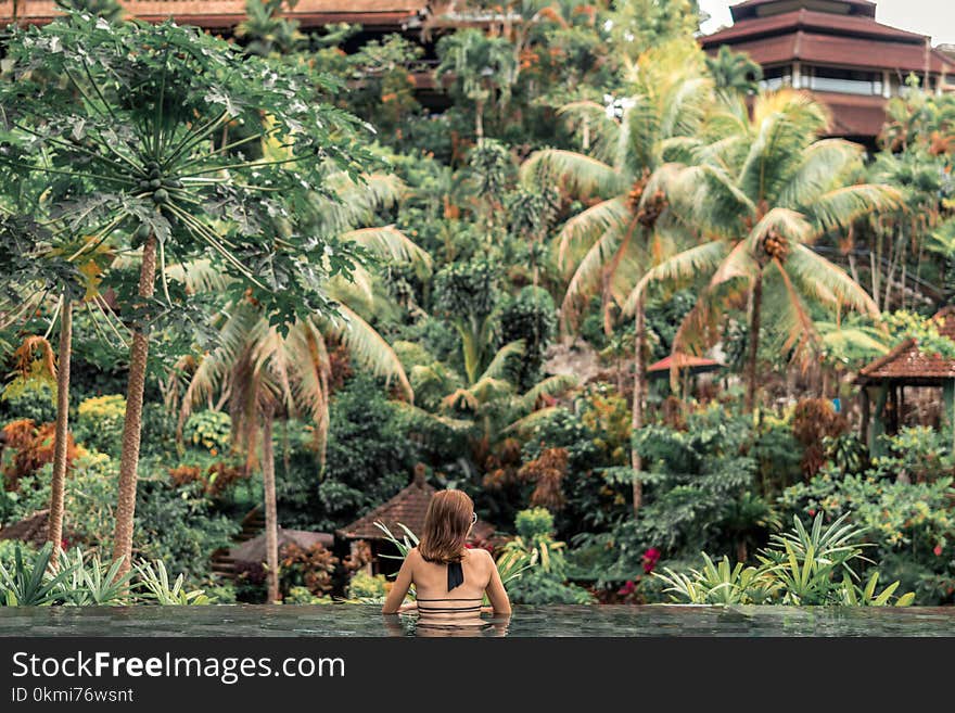 Woman Near Green Trees on the Pool