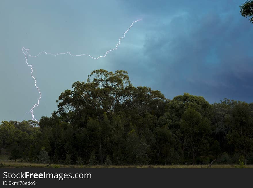 Lightning Above the Green Trees