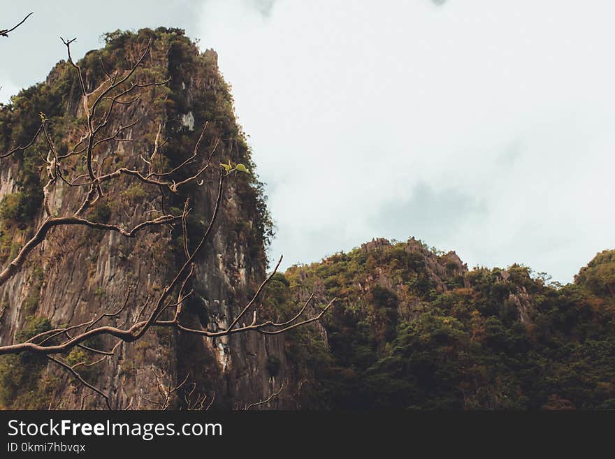 Brown Cliff Near Trees Under Cloudy Sky