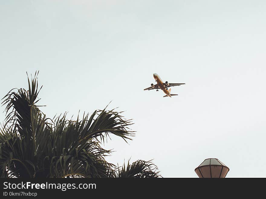 Low Angel Photo of Flying Air Liner