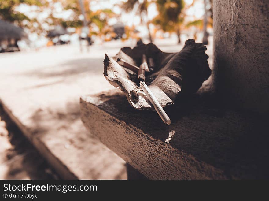 Close-up Selective Focus Photography of Ashtray With Single Cigarette