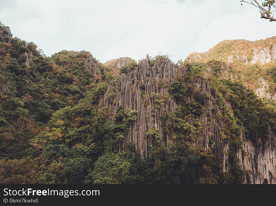 Photo of Gray Rock Formation With Trees at Daytime