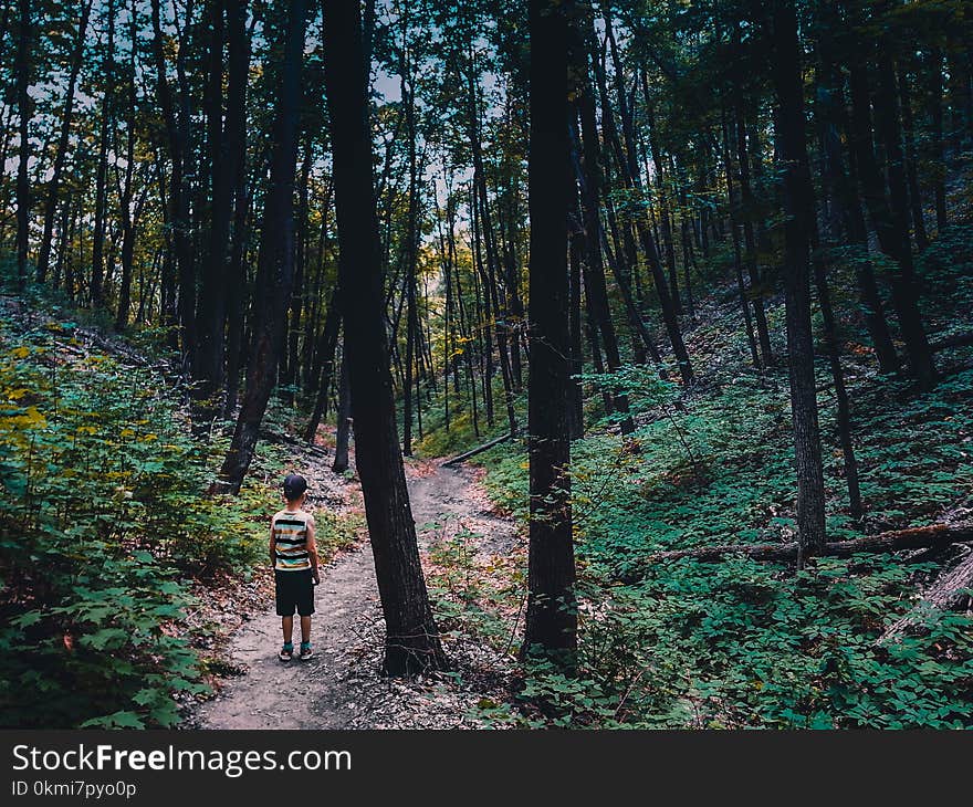 Person Wearing Shirt Standing Near Tree