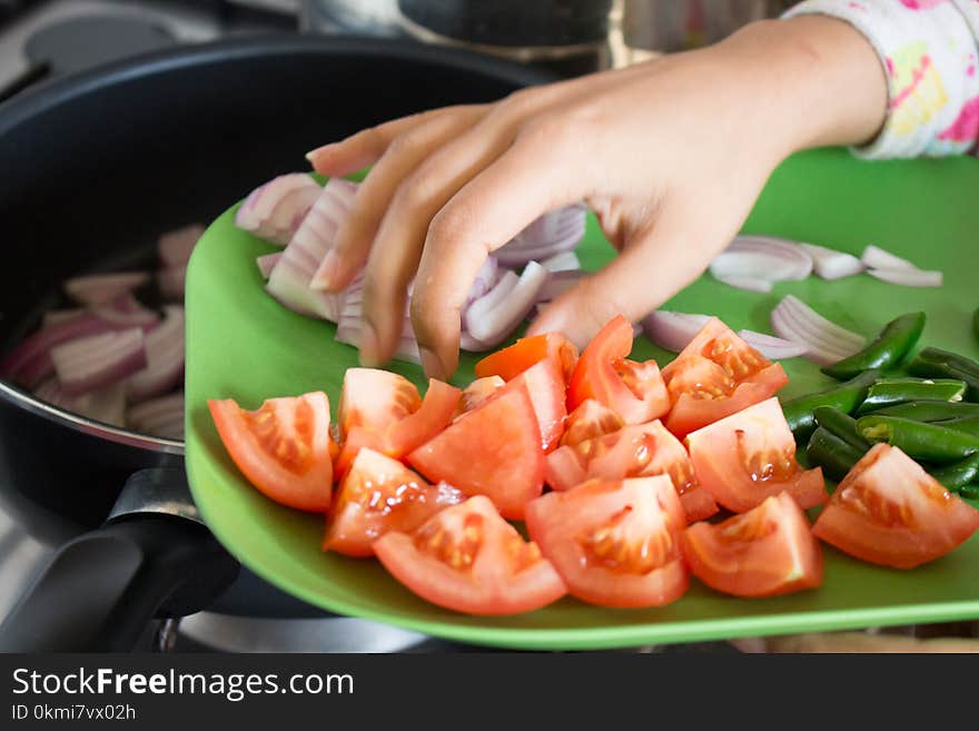 Person Holding Tomato