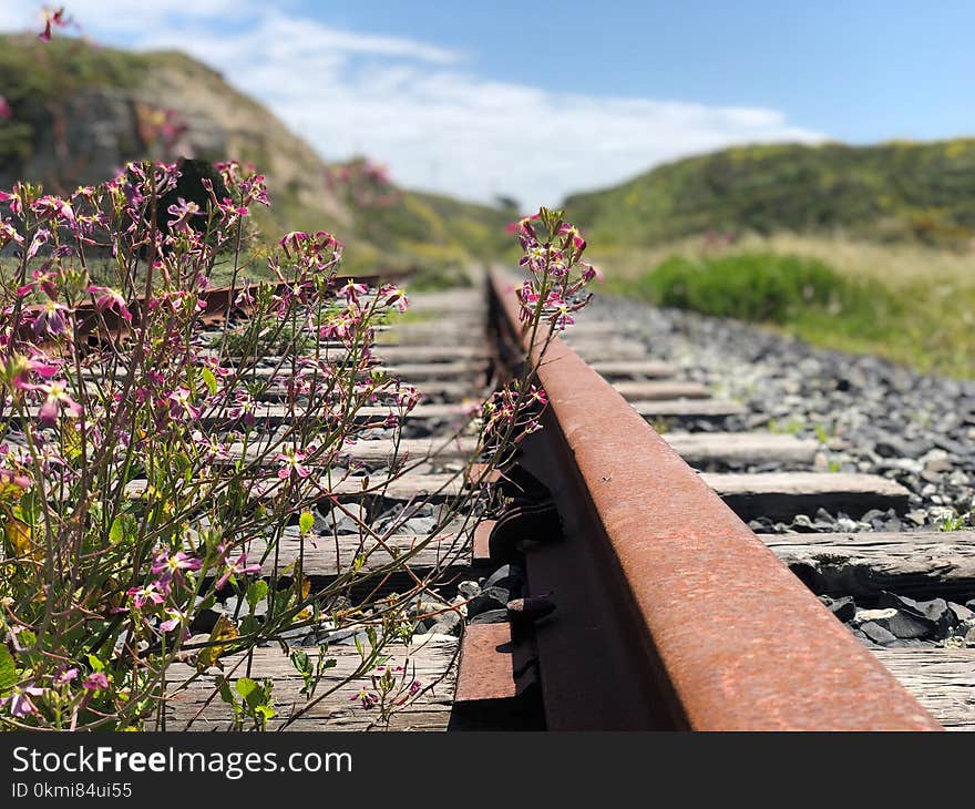 Shallow Focus Photography of Railroad