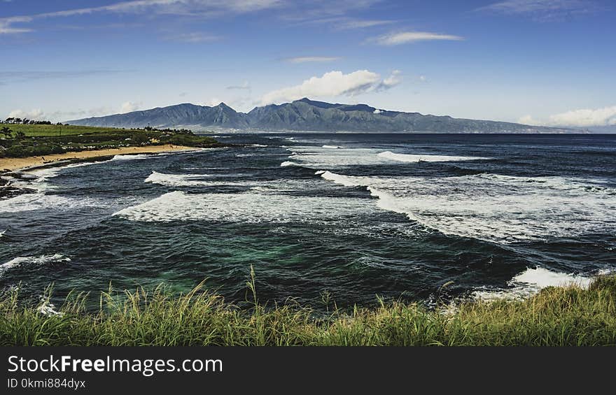 Sea Waves and Green Grasses