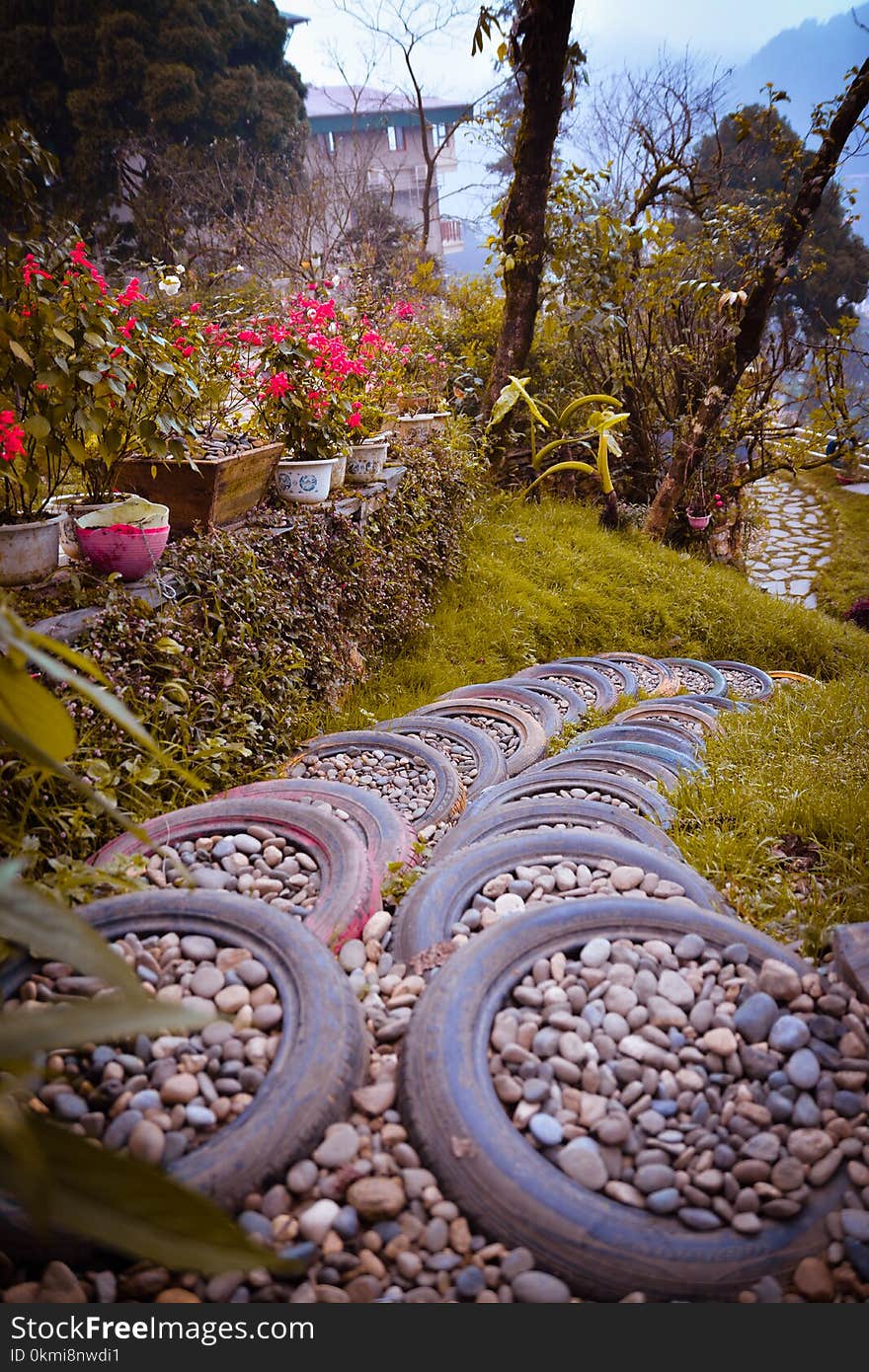 Walkway Beside Garden