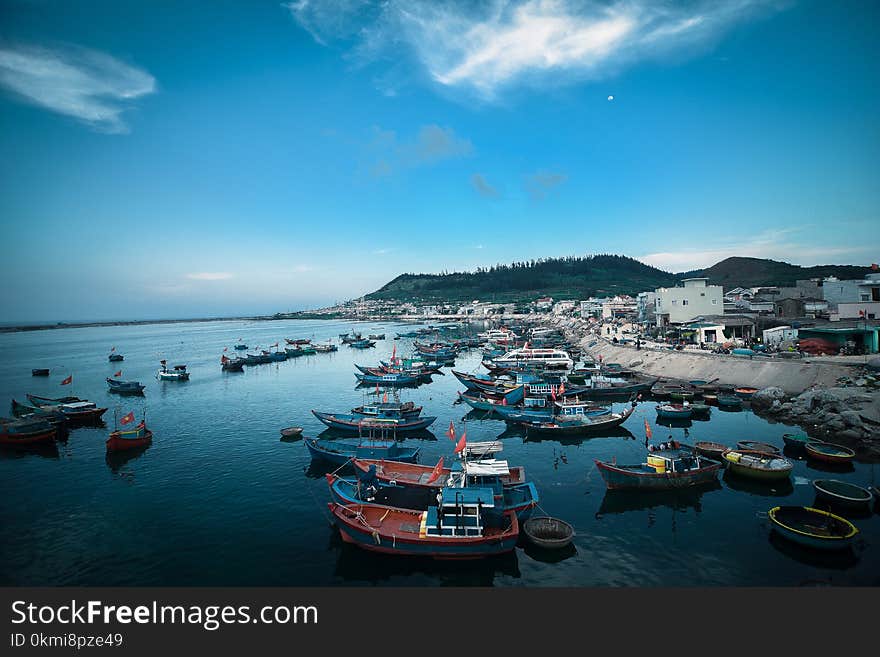 Sailboats on Body of Water