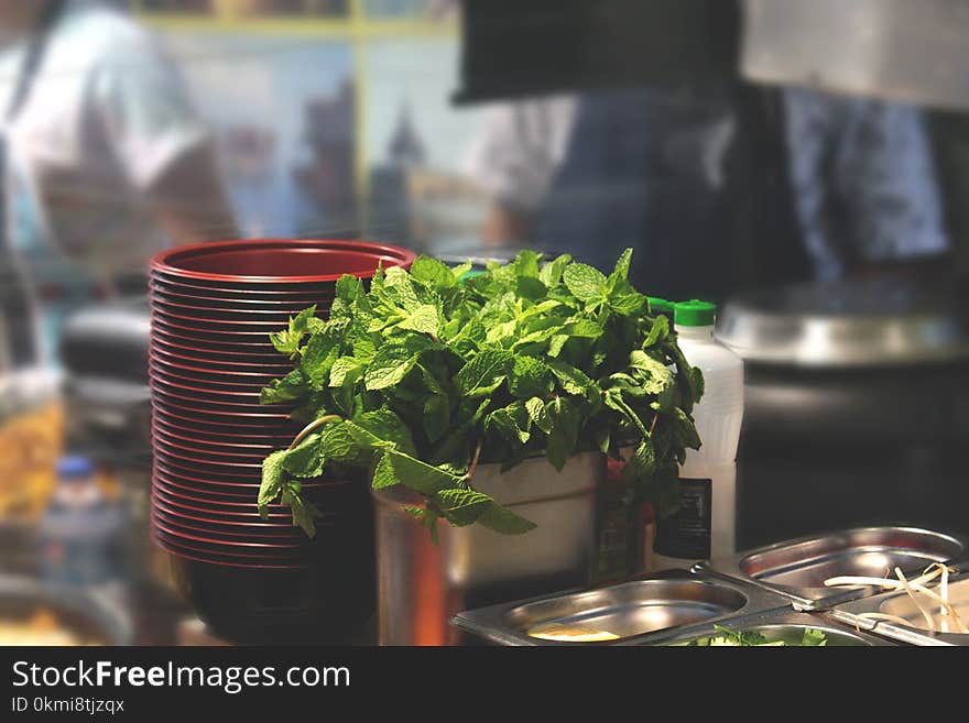 Green Leaf Plant Beside Bowl and Bain-marie