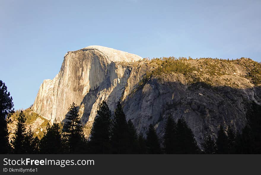 Trees Under White Cliff