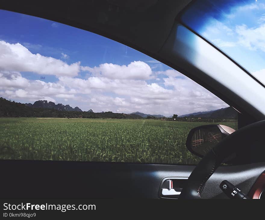 Black Automotive Steering Wheel