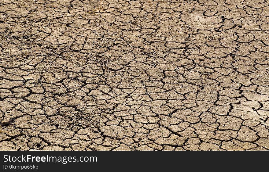 Soil, Drought, Pattern