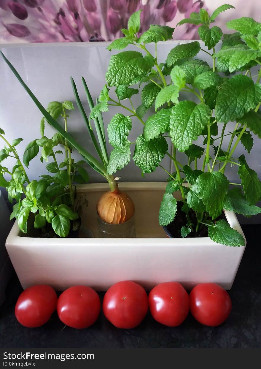 Natural Foods, Vegetable, Local Food, Flowerpot