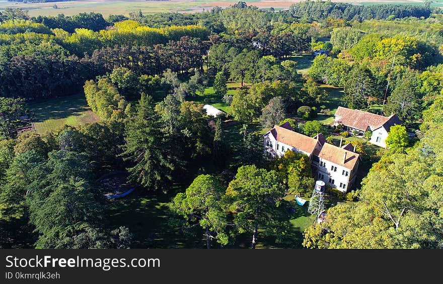 Nature Reserve, Vegetation, Tree, Village