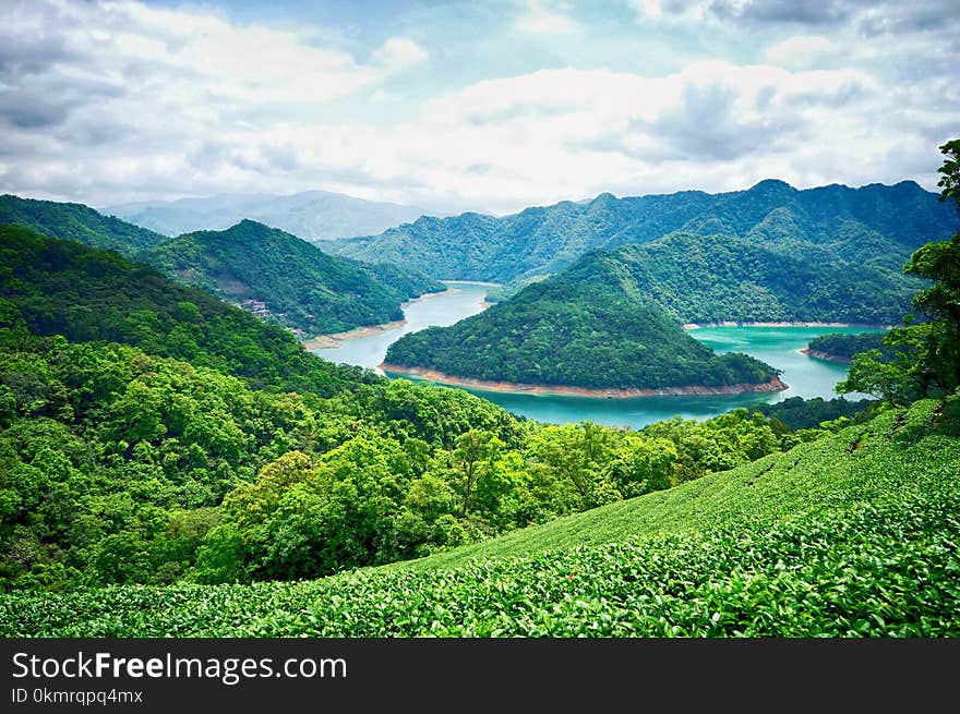 Highland, Nature, Vegetation, Nature Reserve