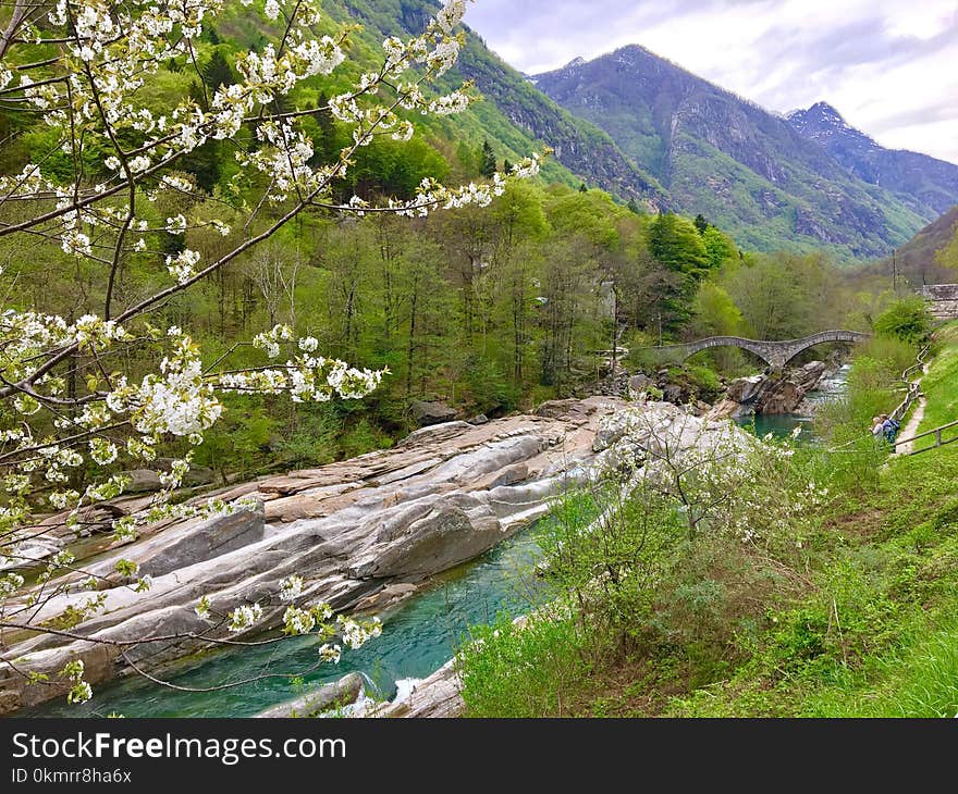 Vegetation, Nature Reserve, Mountainous Landforms, Wilderness