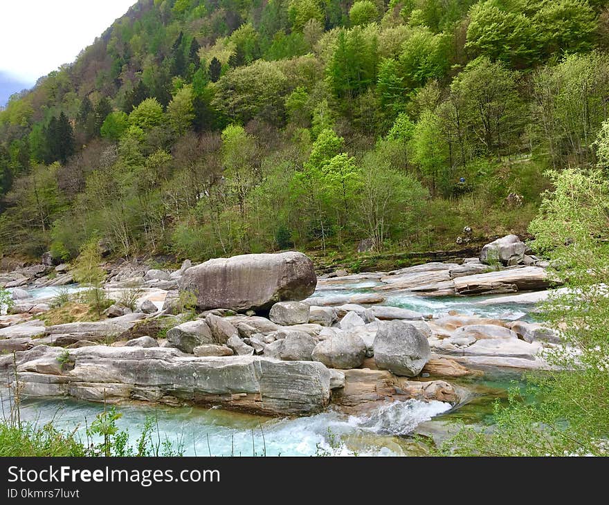 Nature Reserve, Vegetation, Wilderness, Stream