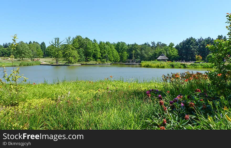 Vegetation, Nature, Nature Reserve, Lake