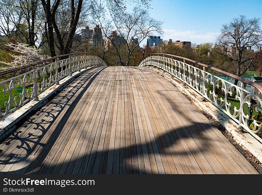 Bridge, Path, Walkway, Tree