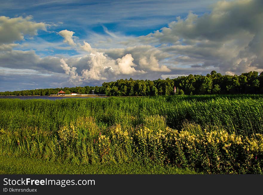 Cloud, Sky, Grassland, Nature