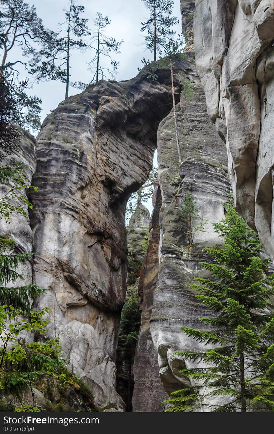 Rock, Tree, Cliff, Formation