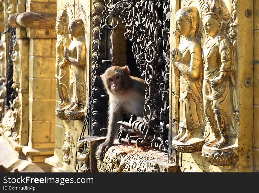 Temple, Tourist Attraction, Display Window