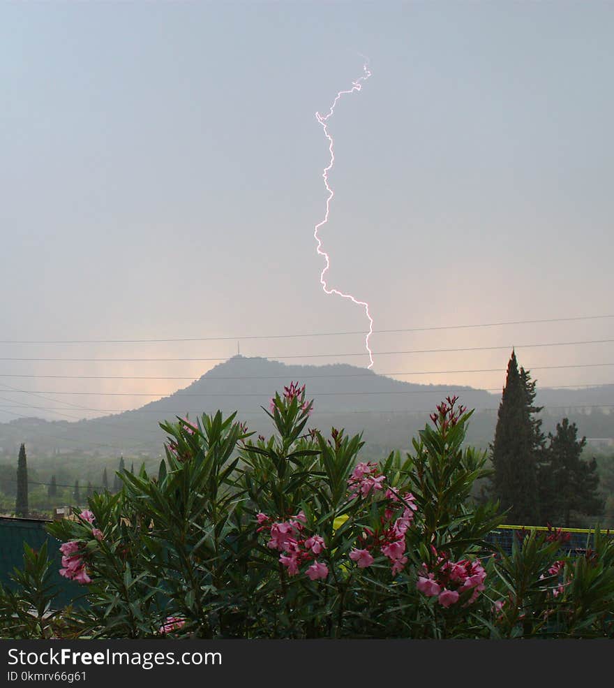 Sky, Phenomenon, Cloud, Lightning