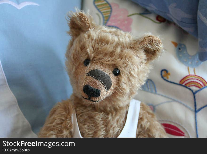 Teddy Bear, Stuffed Toy, Fur, Snout