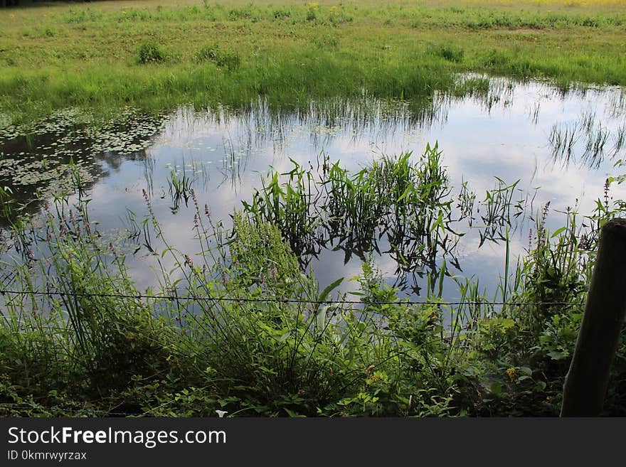 Water, Wetland, Nature Reserve, Marsh